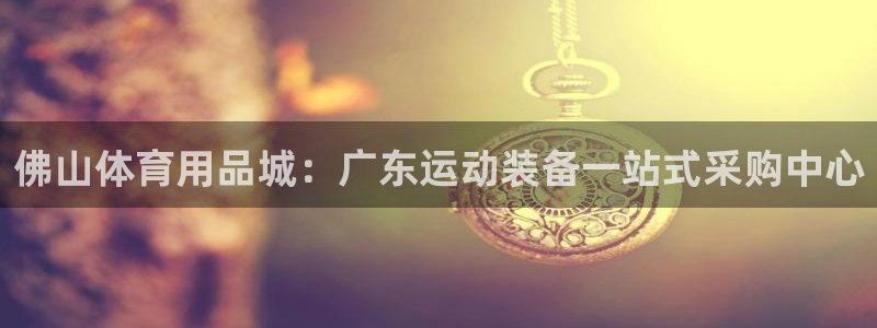 欧陆娱乐计划app官方正版安装下载苹果：佛山体育用品