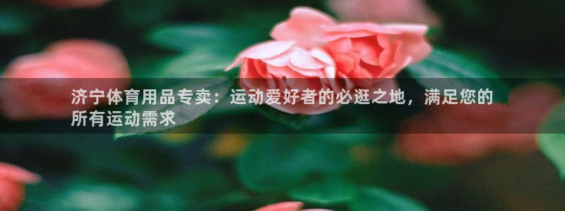 欧陆注册登录入口：济宁体育用品专卖：运动爱好者的必逛