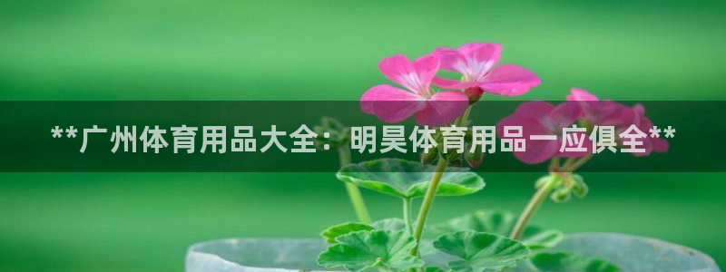 欧陆娱乐app打不开怎么回事：**广州体育用品大全：