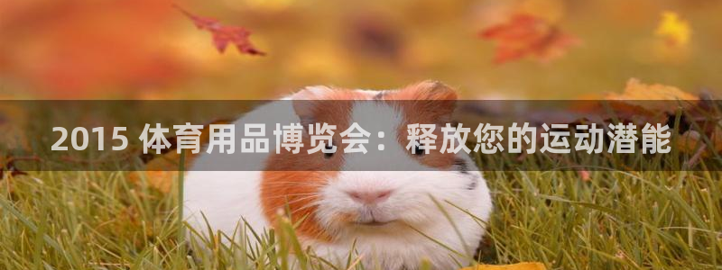 欧陆娱乐app攻略大全：2015 体育用品博览会：释