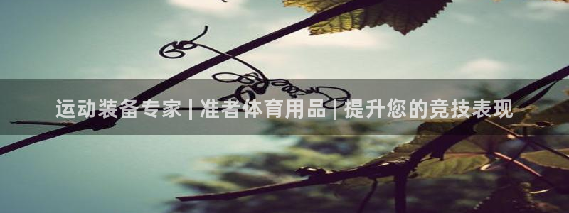 欧陆娱乐平台咋样啊赚钱：运动装备专家 | 准者体育用