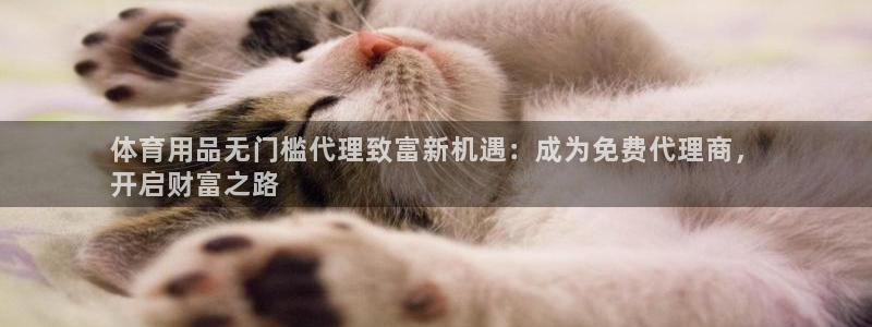 欧陆娱乐官网下载安装手机版：体育用品无门槛代理致富新