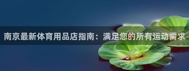 欧陆娱乐有限公司：南京最新体育用品店指南：满足您的所