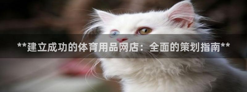 欧陆是什么平台：**建立成功的体育用品网店：全面的策