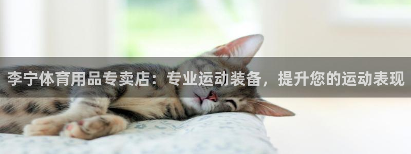 欧陆娱乐官网首页入口：李宁体育用品专卖店：专业运动装
