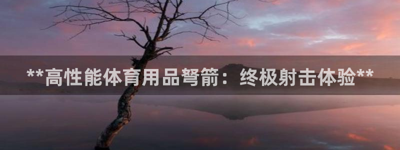 欧陆娱乐是正规平台吗安全吗可信吗：**高性能体育用品