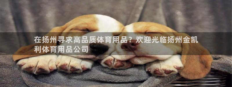 欧陆娱乐平台登陆地址在哪里：在扬州寻求高品质体育用品