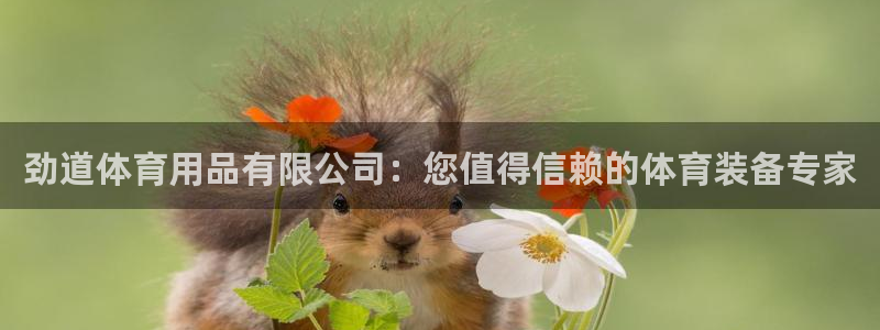 欧陆注册码：劲道体育用品有限公司：您值得信赖的体育装