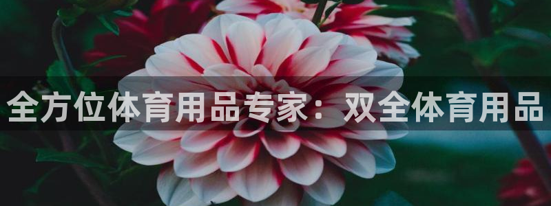 欧陆官网下载：全方位体育用品专家：双全体育用品