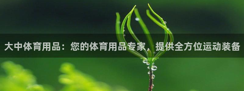 欧陆娱乐平台总代理：大中体育用品：您的体育用品专家，