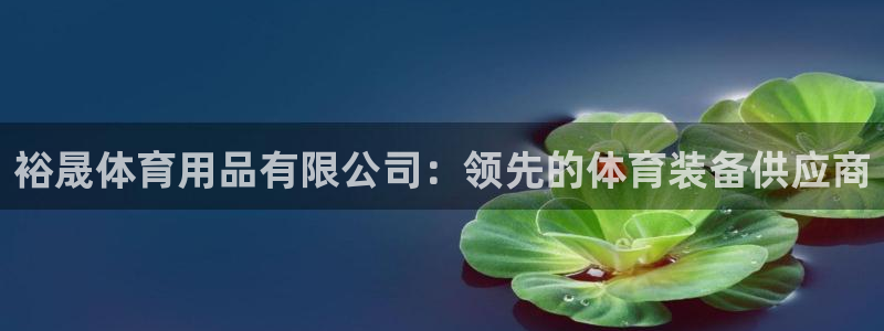 重庆欧陆娱乐有限公司地址：裕晟体育用品有限公司：领先