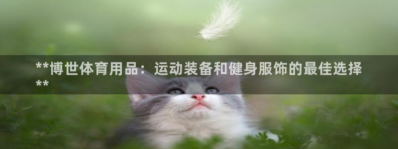 欧陆娱乐提现两百万：**博世体育用品：运动装备和健身