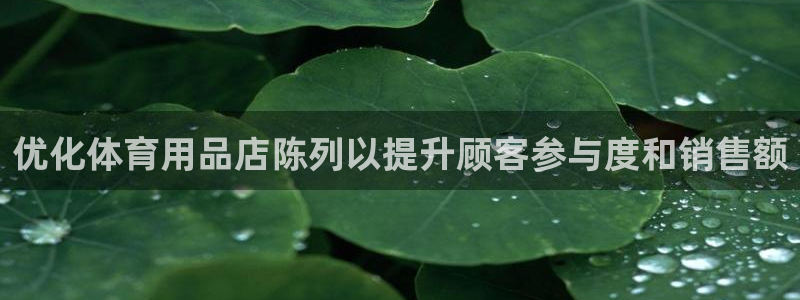 欧陆娱乐app打不开怎么回事：优化体育用品店陈列以提
