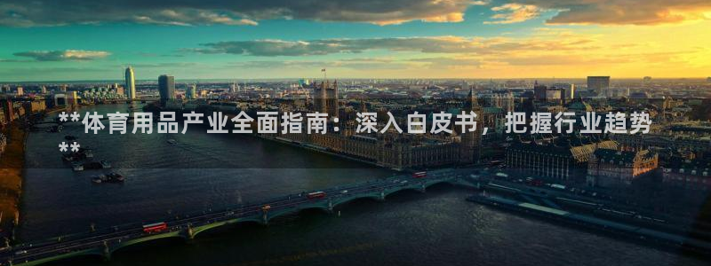 欧陆娱乐总代理：**体育用品产业全面指南：深入白皮书