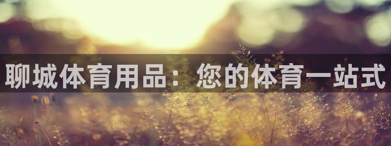 欧陆娱乐计划预测软件哪个好：聊城体育用品：您的体育一