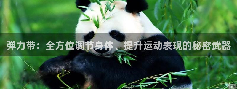 欧陆娱乐能不能玩手游：弹力带：全方位调节身体、提升运