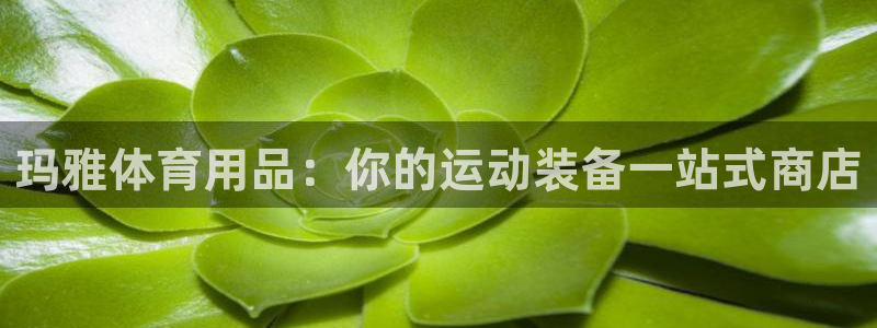 欧陆娱乐出款了吗：玛雅体育用品：你的运动装备一站式商