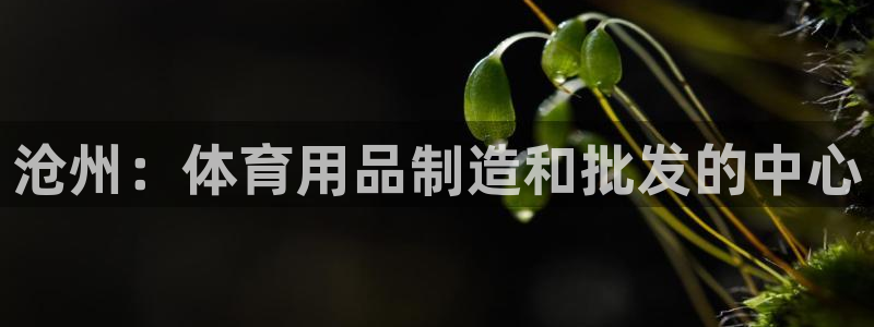 欧陆娱乐是正规平台吗安全吗：沧州：体育用品制造和批发