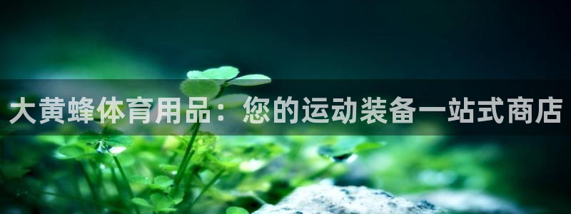 欧陆娱乐不让提现怎么办：大黄蜂体育用品：您的运动装备