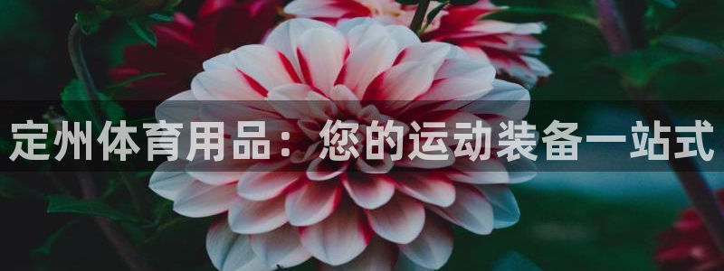 欧陆娱乐可以退钱吗安全吗：定州体育用品：您的运动装备