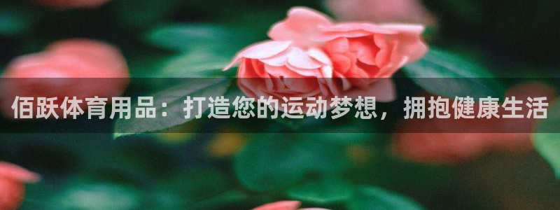 欧陆娱乐怎么注册帐号啊：佰跃体育用品：打造您的运动梦