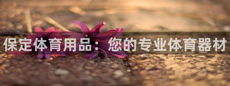 欧陆娱乐注册链接怎么弄：保定体育用品：您的专业体育器