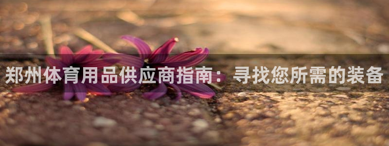 欧陆娱乐官网下载安装手机版：郑州体育用品供应商指南：