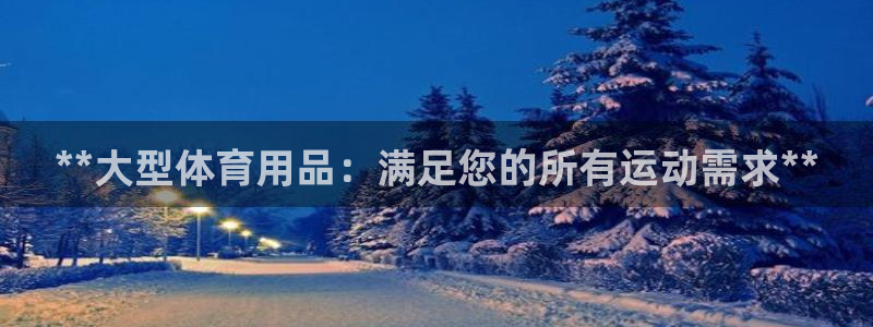 欧陆娱乐合法吗：**大型体育用品：满足您的所有运动需