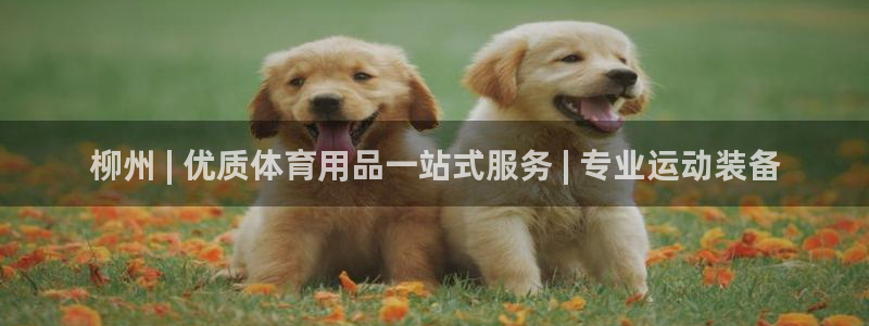 欧陆娱乐注册代理多少钱一个月：柳州 | 优质体育用品