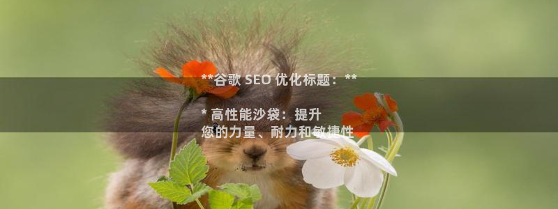 欧陆娱乐访问：**谷歌 SEO 优化标题：**

*