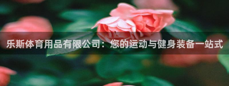 欧陆娱乐官网下载安装手机版：乐斯体育用品有限公司：您