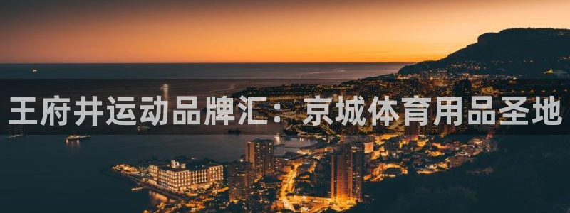 欧陆娱乐脚本怎么用：王府井运动品牌汇：京城体育用品圣