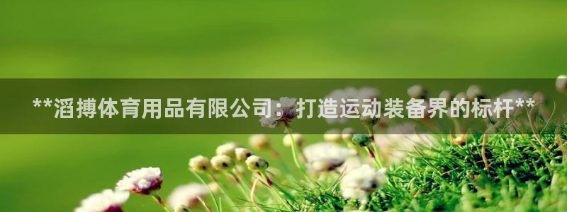 欧陆娱乐测试：**滔搏体育用品有限公司：打造运动装备