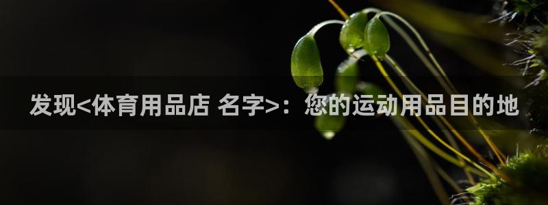 欧陆公司在哪里