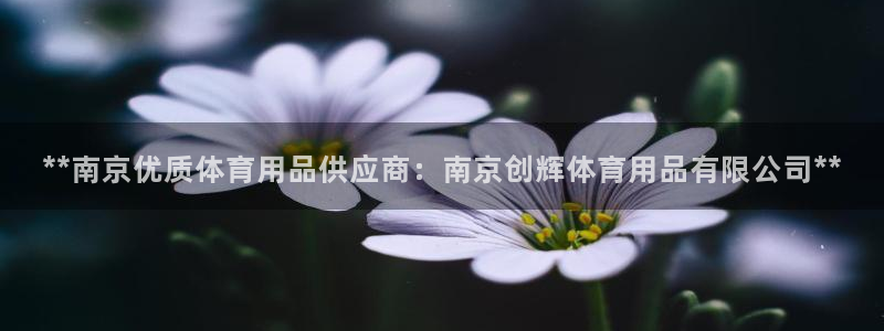 欧陆娱乐公司产品介绍：**南京优质体育用品供应商：南京创辉体