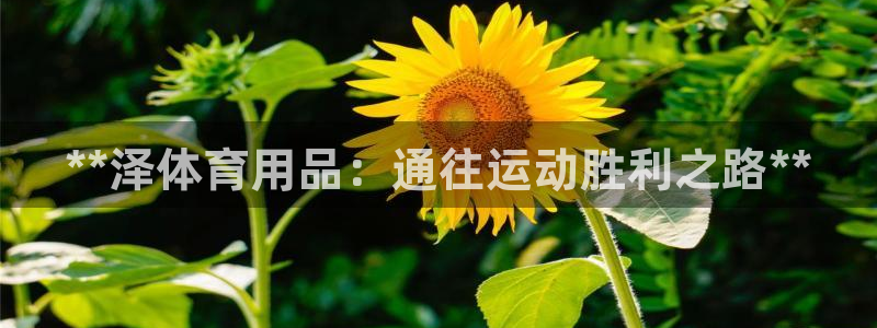 欧陆娱乐登录注册平台有哪些：**泽体育用品：通往运动