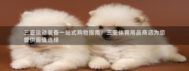 欧陆娱乐平台登陆地址在哪看：三亚运动装备一站式购物指
