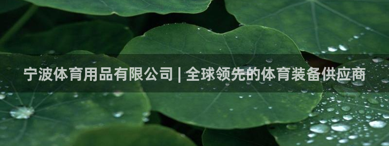 欧陆娱乐登录官网入口：宁波体育用品有限公司 | 全球