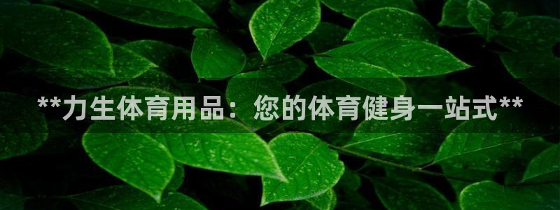 欧陆娱乐招商主管：**力生体育用品：您的体育健身一站