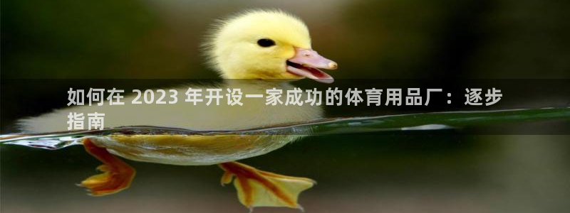欧陆娱乐安全?：如何在 2023 年开设一家成功的体
