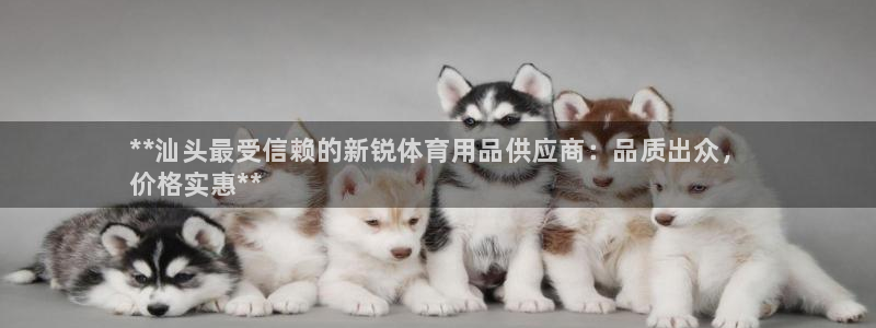 欧陆娱乐测试官网：**汕头最受信赖的新锐体育用品供应商：品质
