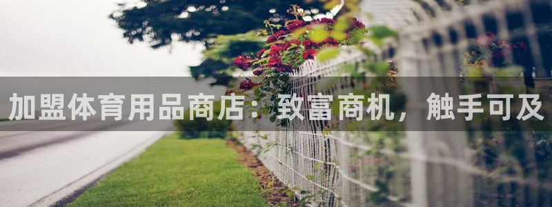欧陆娱乐app下载：加盟体育用品商店：致富商机，触手可及