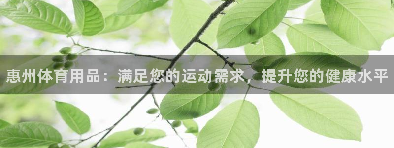 欧陆娱乐登陆平台：惠州体育用品：满足您的运动需求，提