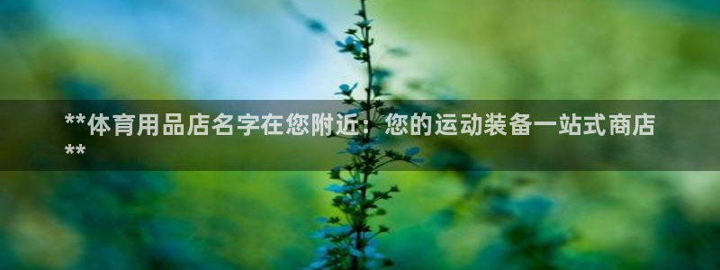 欧陆游戏平台：**体育用品店名字在您附近：您的运动装