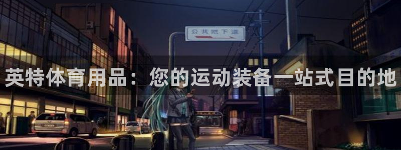 欧陆娱乐平台登录不上：英特体育用品：您的运动装备一站式目的地