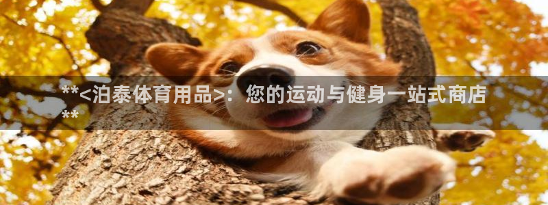 欧陆娱乐提现两百万：**<泊泰体育用品>：您的运动与健身一站