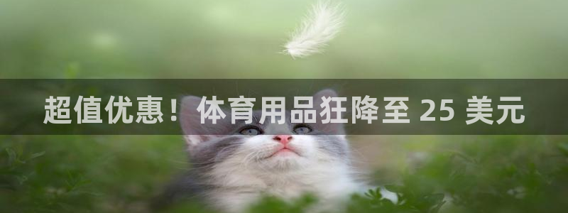 欧陆娱乐是正规吗?：超值优惠！体育用品狂降至 25 美元