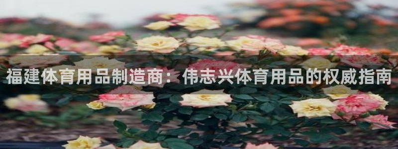 欧陆娱乐是正规平台吗安全吗可靠吗：福建体育用品制造商：伟志兴