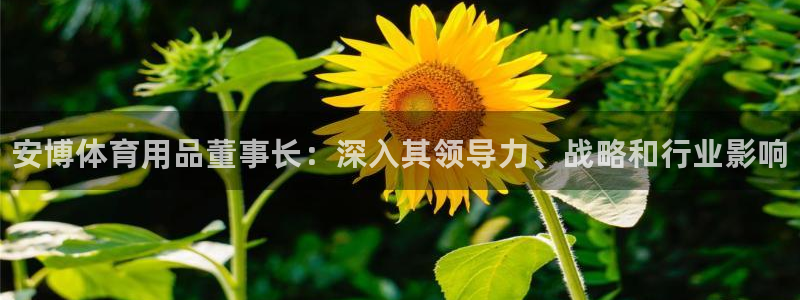 欧陆娱乐平台登陆地址在哪看：安博体育用品董事长：深入