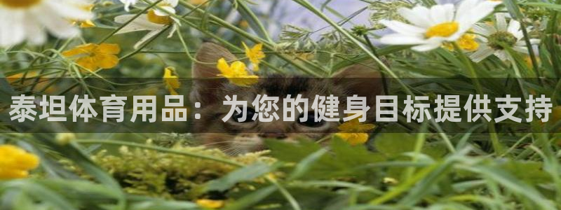 重庆欧陆娱乐有限公司：泰坦体育用品：为您的健身目标提供支持